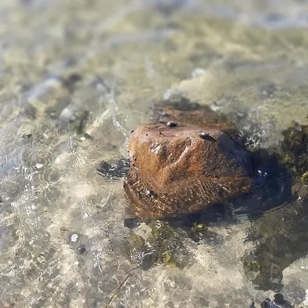 über Den Dächern Von Mürwiker Strasse 187 Flensburg
