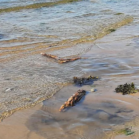 Ueber Den Daechern Von Muerwiker Strasse 187 *